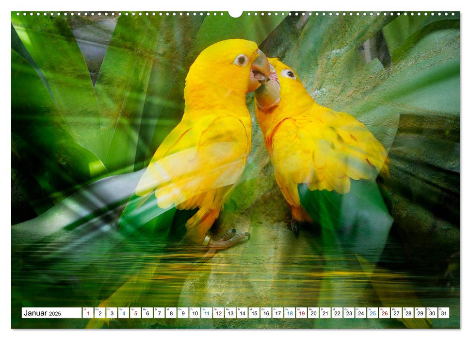 Tropenbewohner - farbenfrohe Vögel (CALVENDO Premium Wandkalender 2025)