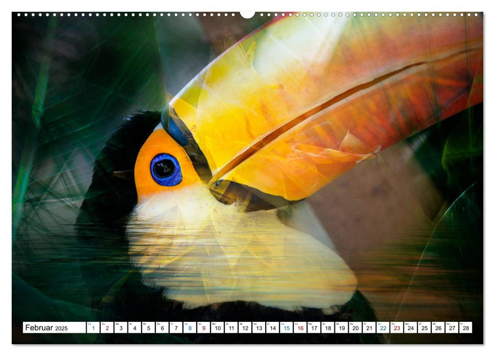 Tropenbewohner - farbenfrohe Vögel (CALVENDO Premium Wandkalender 2025)