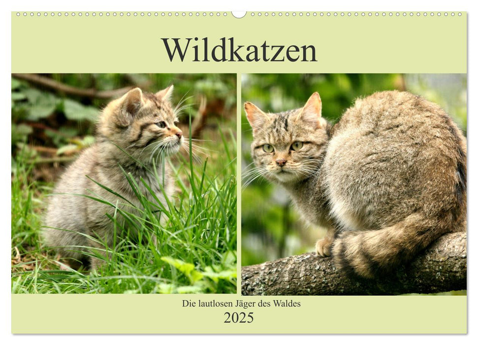 Wildkatzen - Die lautlosen Jäger des Waldes (CALVENDO Wandkalender 2025)