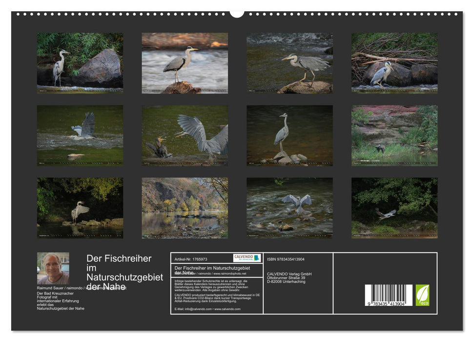 Der Fischreiher im Naturschutzgebiet der Nahe (CALVENDO Premium Wandkalender 2025)