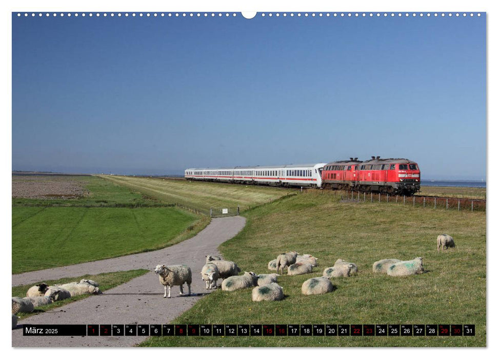 Norddeutsche Eisenbahnen (CALVENDO Premium Wandkalender 2025)