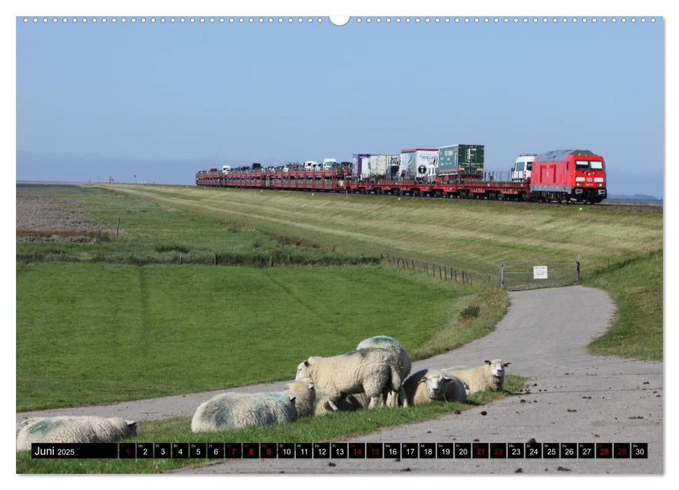 Norddeutsche Eisenbahnen (CALVENDO Premium Wandkalender 2025)