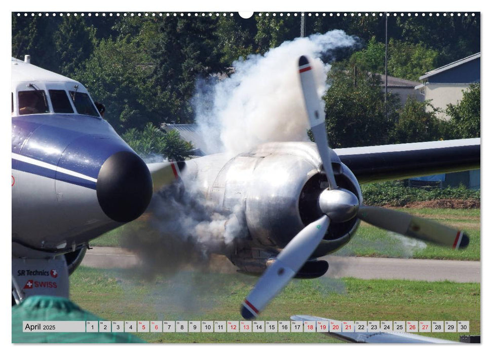 Flugtage Speyer-Weinheim-Mannheim (CALVENDO Premium Wandkalender 2025)