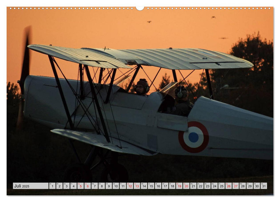 Flugtage Speyer-Weinheim-Mannheim (CALVENDO Premium Wandkalender 2025)