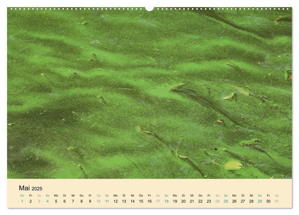 Farben des Wassers (CALVENDO Premium Wandkalender 2025)