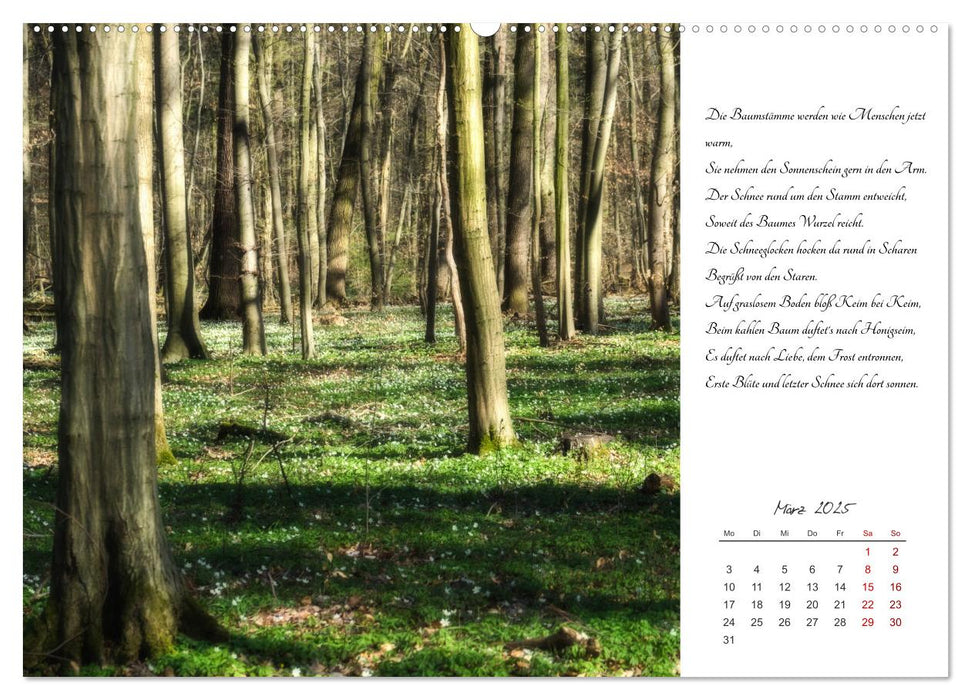 Max Dauthendey - Mit der Natur durchs Jahr (CALVENDO Premium Wandkalender 2025)