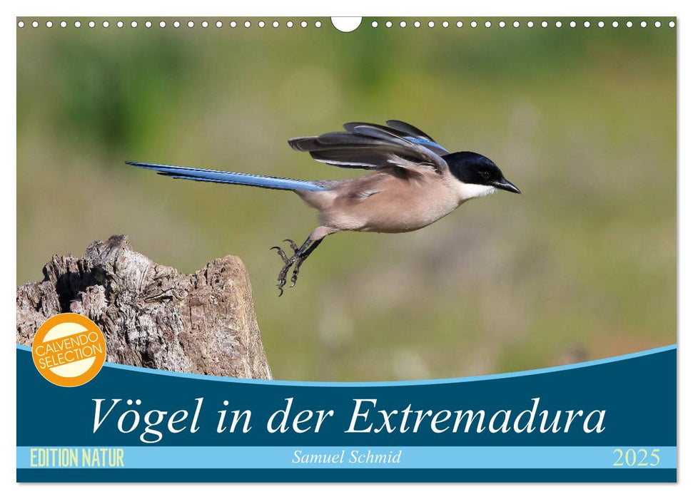 Vögel in der Extremadura (CALVENDO Wandkalender 2025)