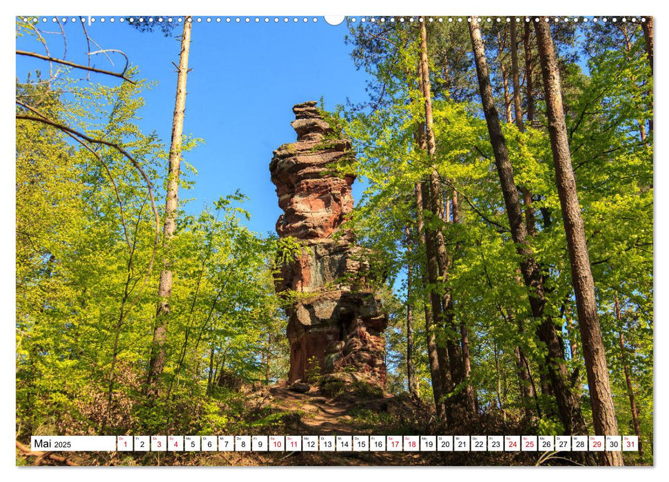 Felsen im Wasgau (CALVENDO Wandkalender 2025)