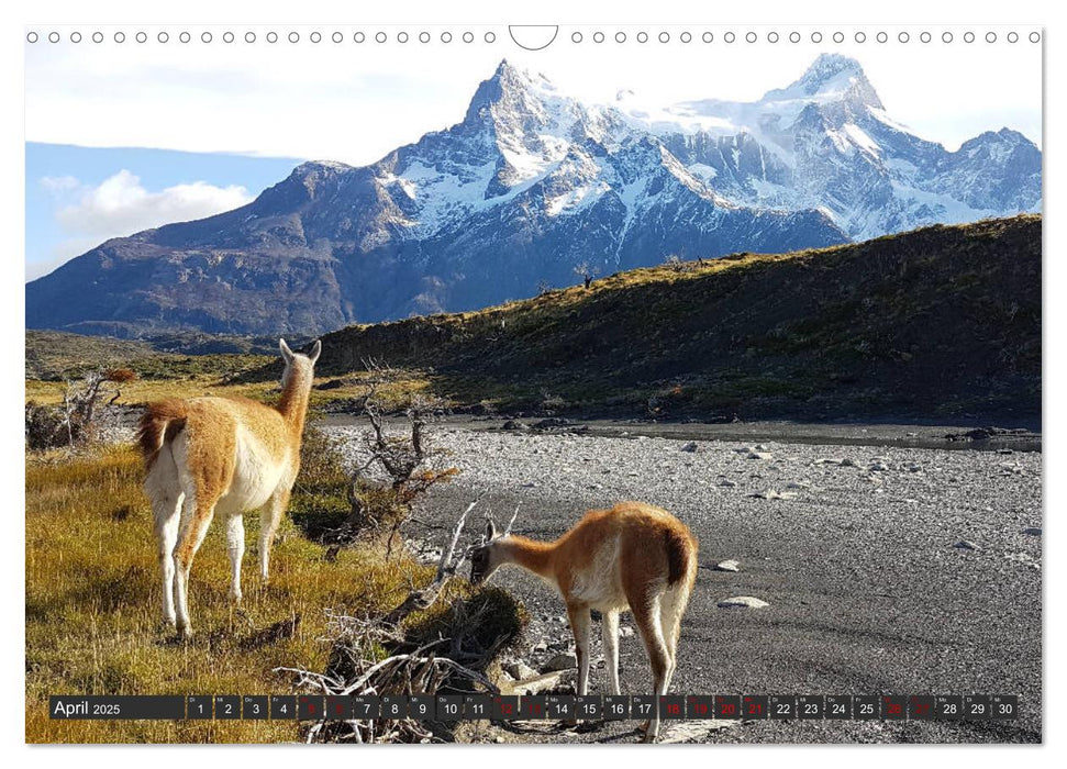 Patagonien - Parques Torres del Paine und Los Glaciares (CALVENDO Wandkalender 2025)