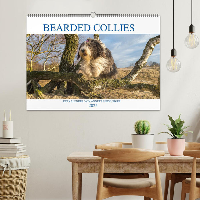 BEARDED COLLIES 2025 (CALVENDO Wandkalender 2025)