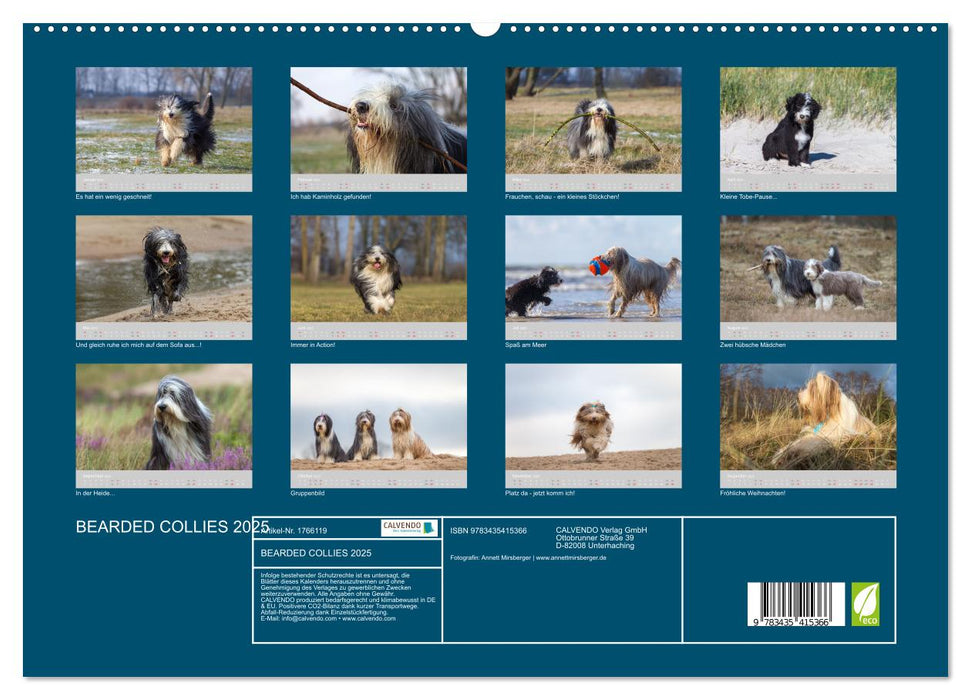 BEARDED COLLIES 2025 (CALVENDO Wandkalender 2025)