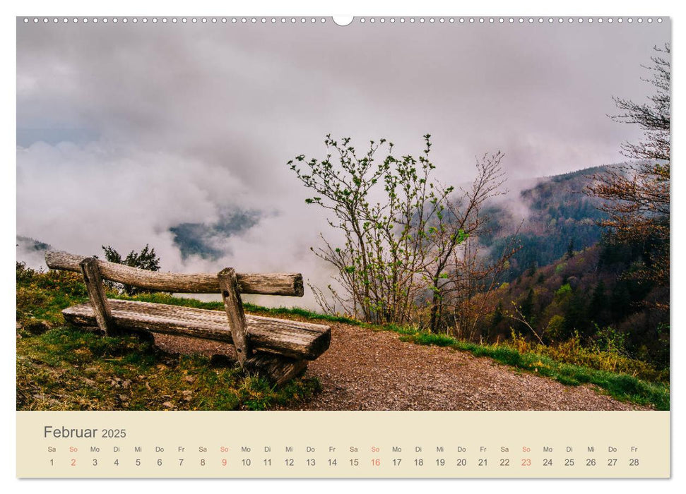 Fels und Stamm - Der Hochschwarzwald in Bildern (CALVENDO Premium Wandkalender 2025)