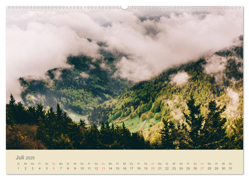 Fels und Stamm - Der Hochschwarzwald in Bildern (CALVENDO Premium Wandkalender 2025)