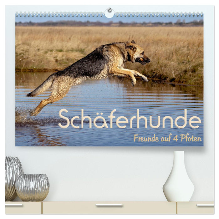 Schäferhunde - Freunde auf 4 Pfoten (CALVENDO Premium Wandkalender 2025)