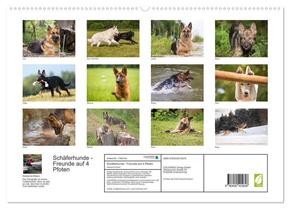 Schäferhunde - Freunde auf 4 Pfoten (CALVENDO Premium Wandkalender 2025)