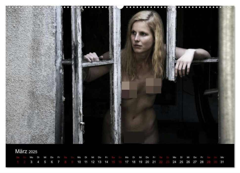 Nackt am Fenster (CALVENDO Wandkalender 2025)