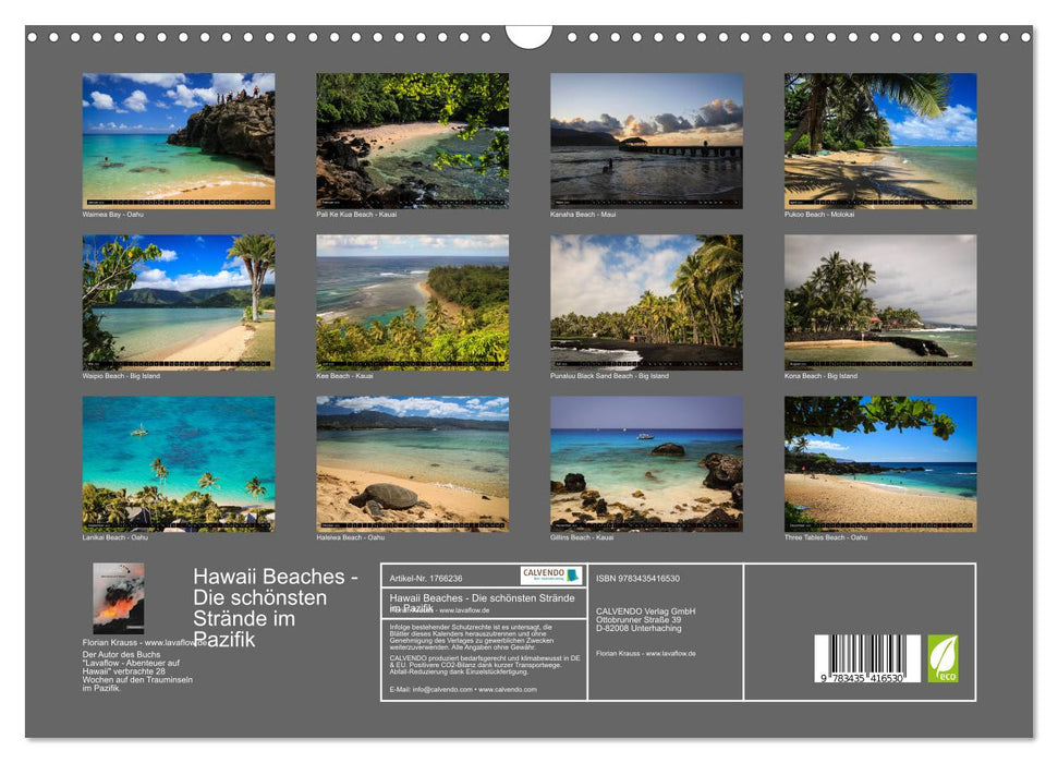 Hawaii Beaches - Die schönsten Strände im Pazifik (CALVENDO Wandkalender 2025)