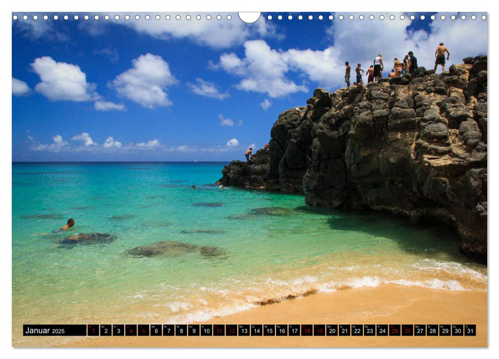 Hawaii Beaches - Die schönsten Strände im Pazifik (CALVENDO Wandkalender 2025)