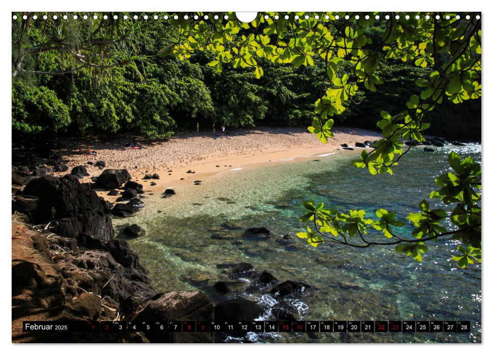 Hawaii Beaches - Die schönsten Strände im Pazifik (CALVENDO Wandkalender 2025)