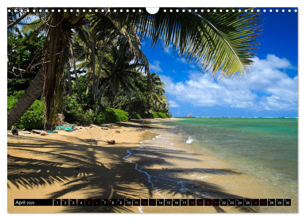 Hawaii Beaches - Die schönsten Strände im Pazifik (CALVENDO Wandkalender 2025)