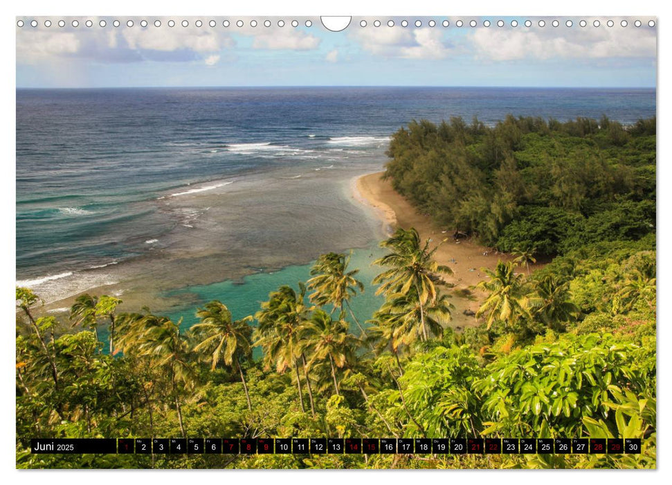 Hawaii Beaches - Die schönsten Strände im Pazifik (CALVENDO Wandkalender 2025)