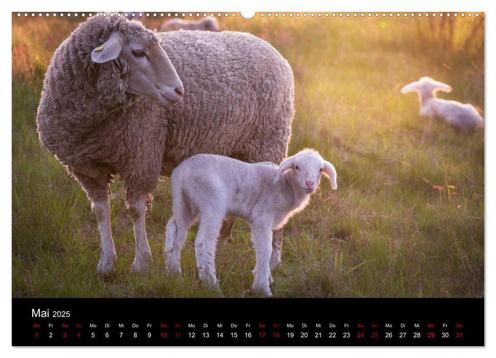 Landschaftsimpressionen Oberpfalz (CALVENDO Premium Wandkalender 2025)