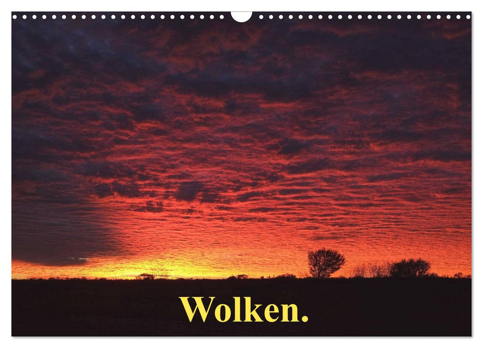 Wolken. (CALVENDO Wandkalender 2025)