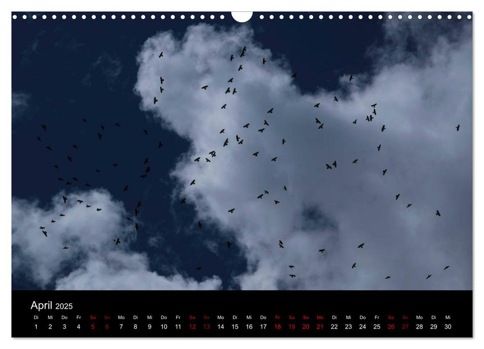 Wolken. (CALVENDO Wandkalender 2025)