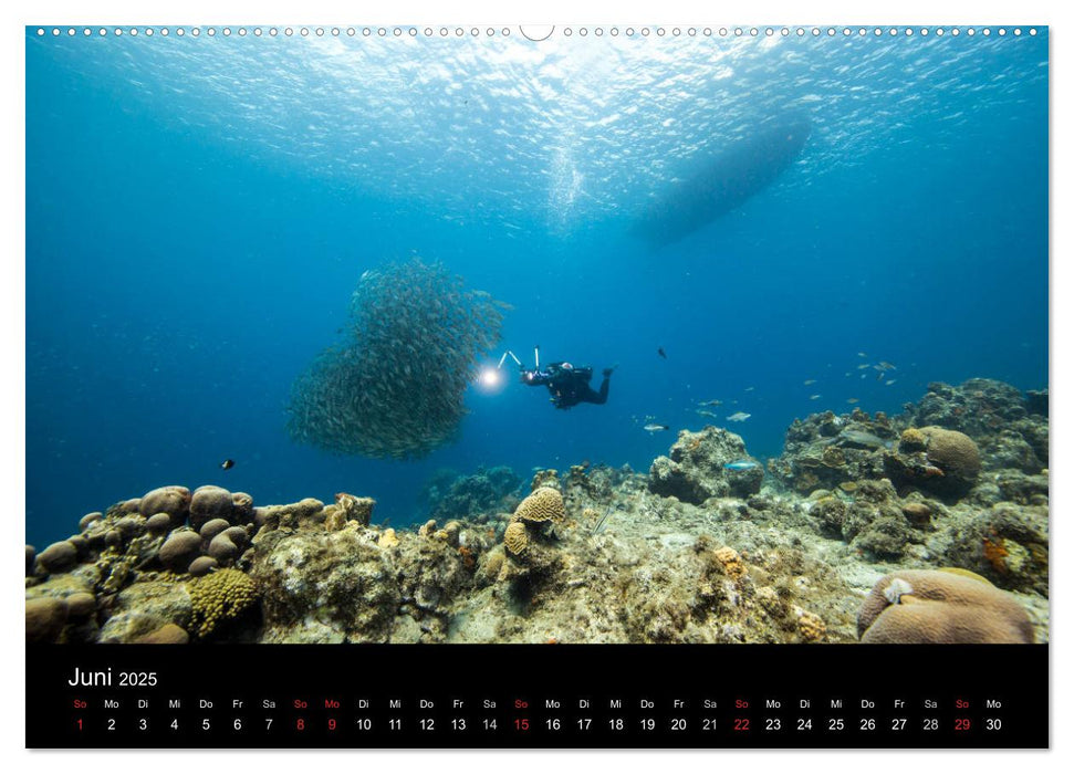 Tanz der Fische (CALVENDO Premium Wandkalender 2025)