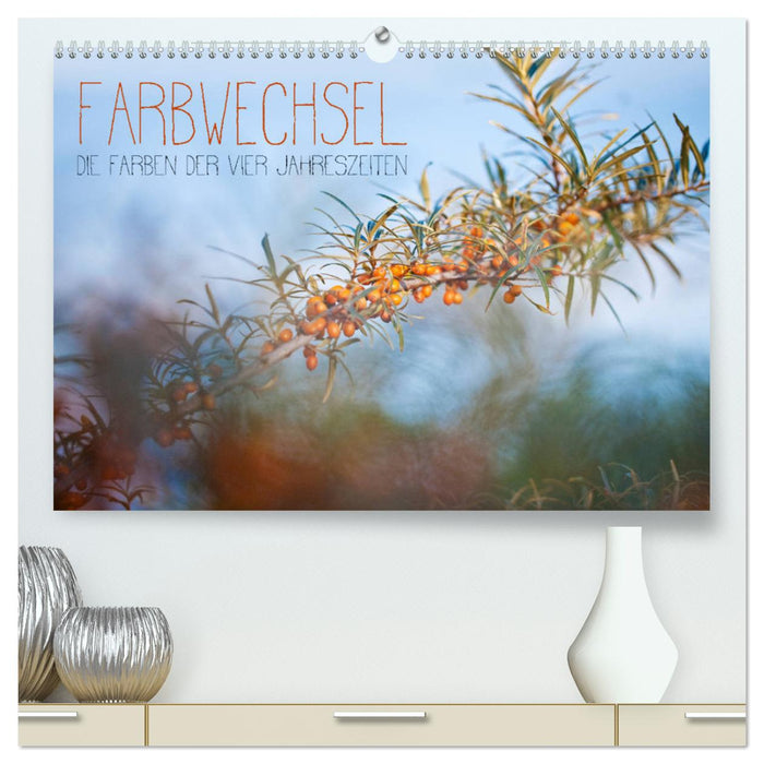 Farbwechsel - Die Farben der vier Jahreszeiten (CALVENDO Premium Wandkalender 2025)