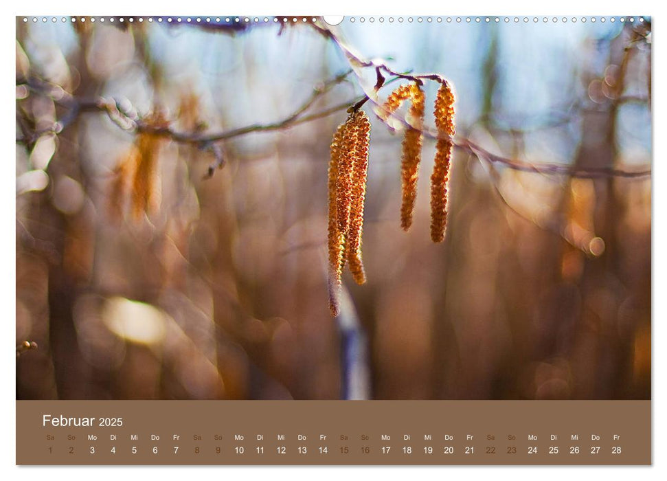 Farbwechsel - Die Farben der vier Jahreszeiten (CALVENDO Premium Wandkalender 2025)