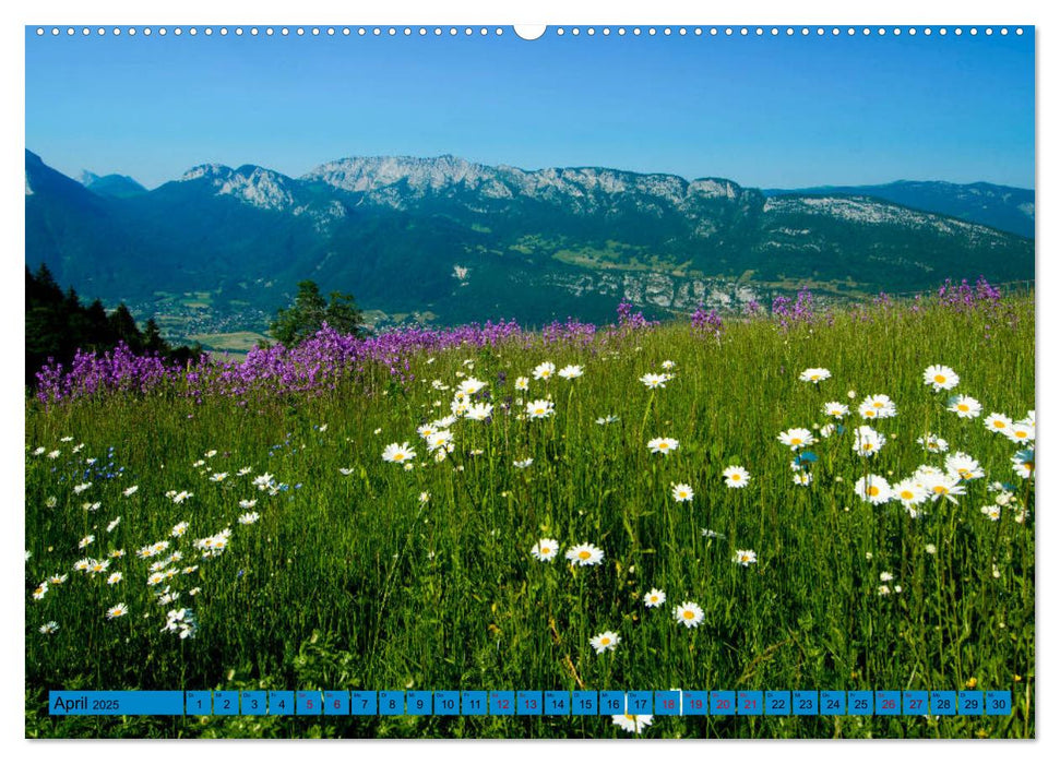 Frankreichs Alpenregionen (CALVENDO Premium Wandkalender 2025)