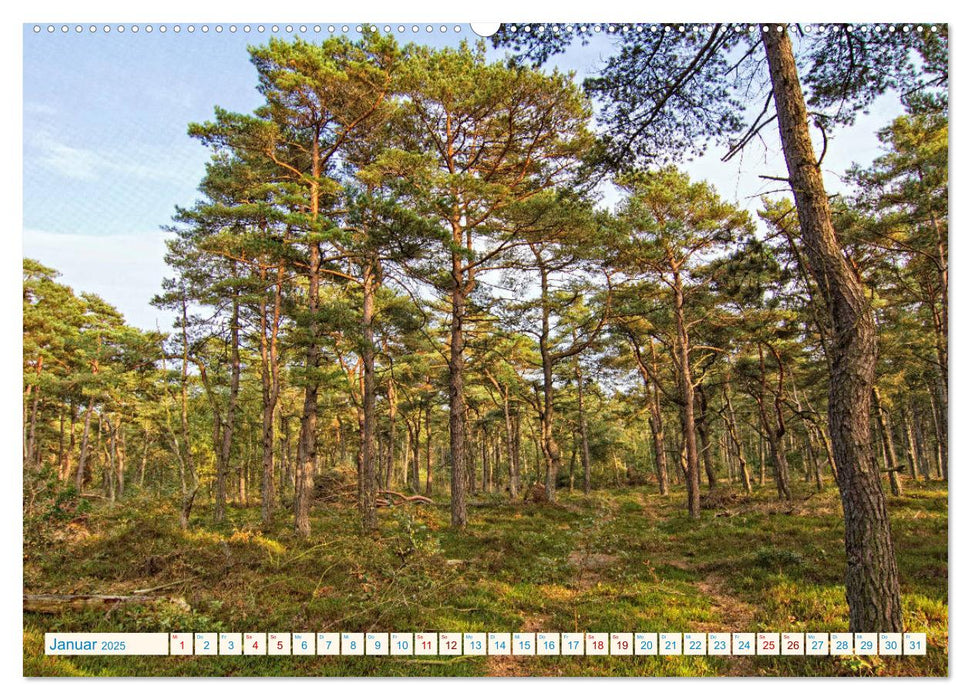 Cuxhaven, Landschaften zwischen Küste und Heide (CALVENDO Premium Wandkalender 2025)