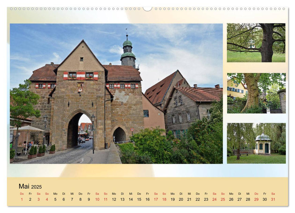 Lauf an der Pegnitz ist bunt (CALVENDO Premium Wandkalender 2025)