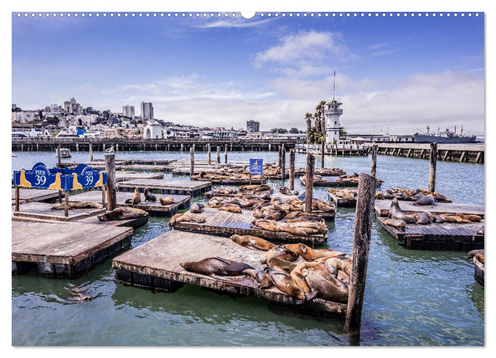 San Francisco Moments (CALVENDO Premium Wandkalender 2025)