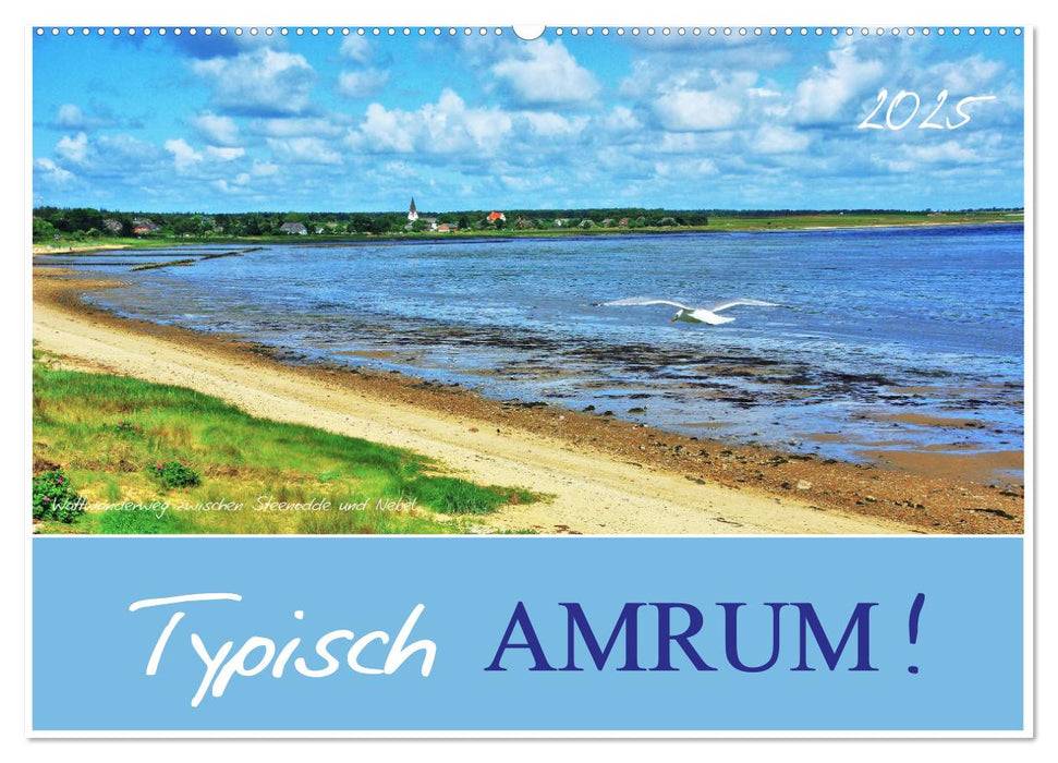 Typisch Amrum! (CALVENDO Wandkalender 2025)