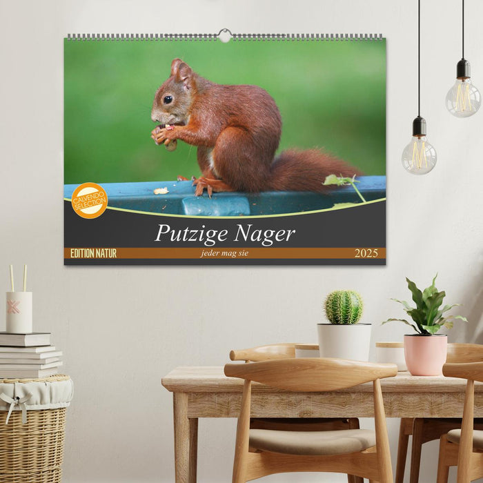 Putzige Nager (CALVENDO Wandkalender 2025)