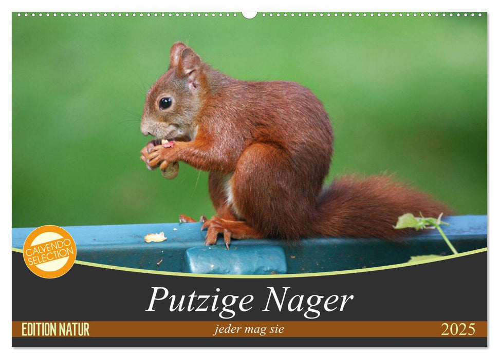 Putzige Nager (CALVENDO Wandkalender 2025)