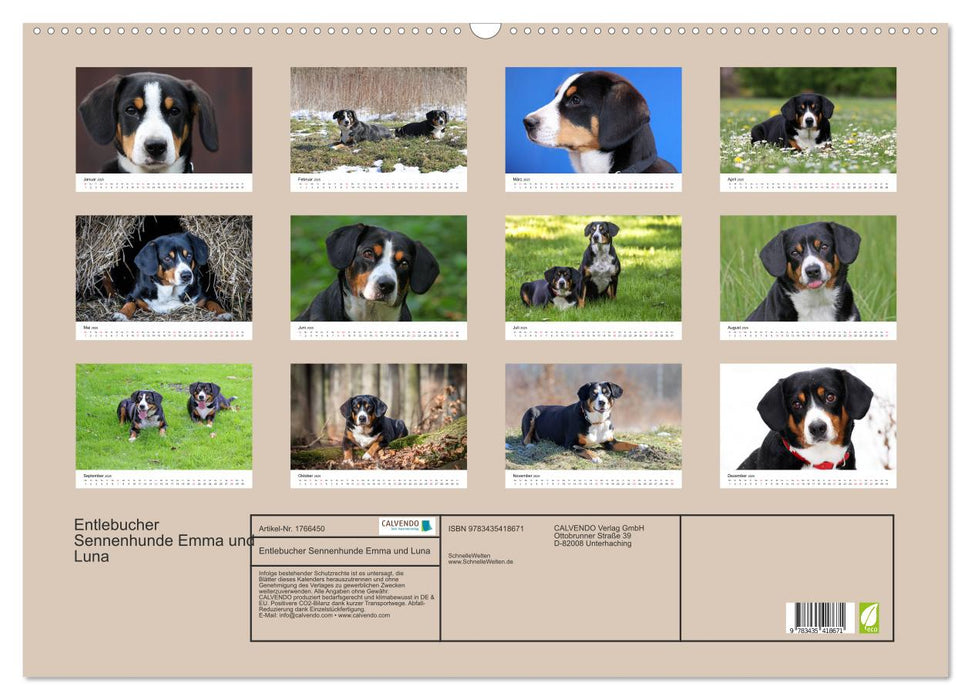 Entlebucher Sennenhunde Emma und Luna (CALVENDO Wandkalender 2025)