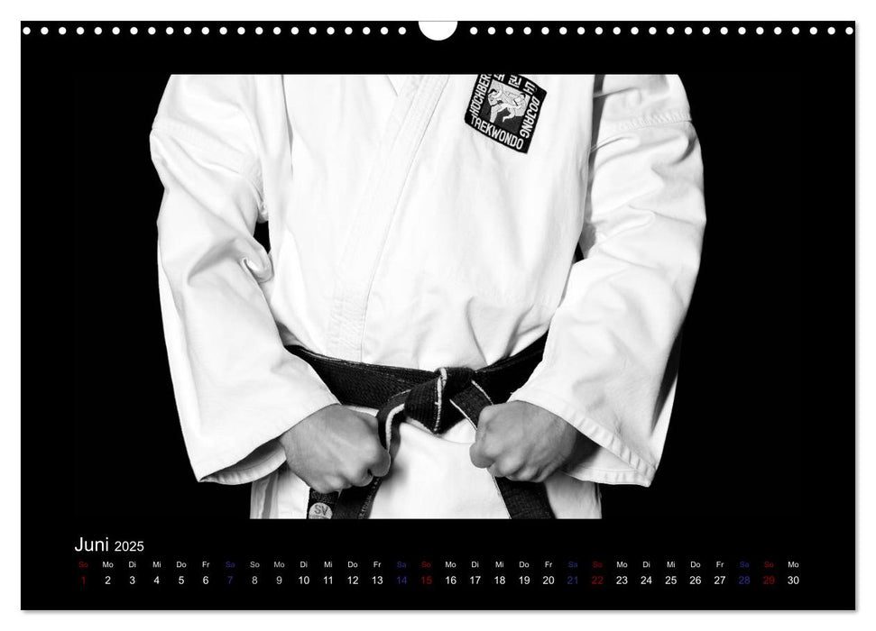 Traditionelles Taekwon-Do (CALVENDO Wandkalender 2025)