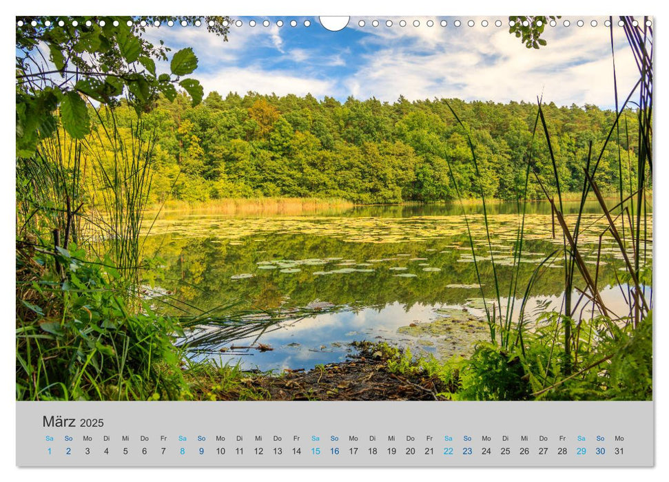 See- und Flußlandschaften in Brandenburg (CALVENDO Wandkalender 2025)