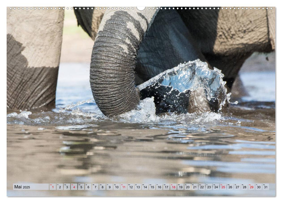 Elefanten - Sanfte Riesen Afrikas (CALVENDO Wandkalender 2025)