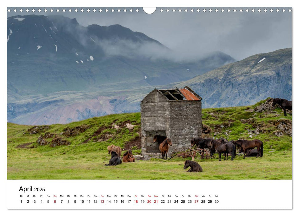 Island - rauhe Schönheit zum Verlieben (CALVENDO Wandkalender 2025)