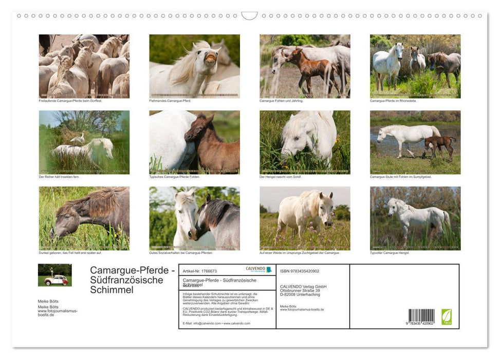 Camargue-Pferde - Südfranzösische Schimmel (CALVENDO Wandkalender 2025)
