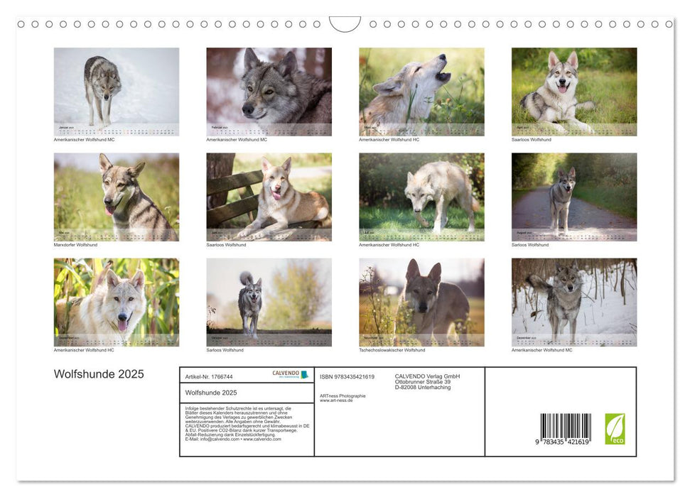 Wolfshunde 2025 (CALVENDO Wandkalender 2025)