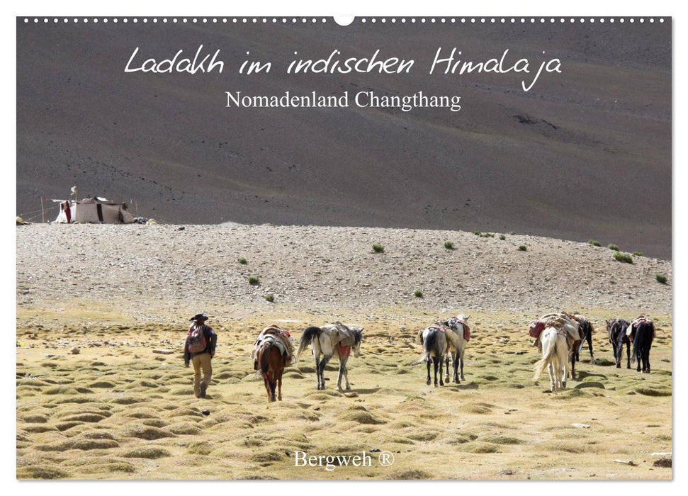 Ladakh im indischen Himalaja - Nomadenland Changthang - Bergweh ® (CALVENDO Wandkalender 2025)