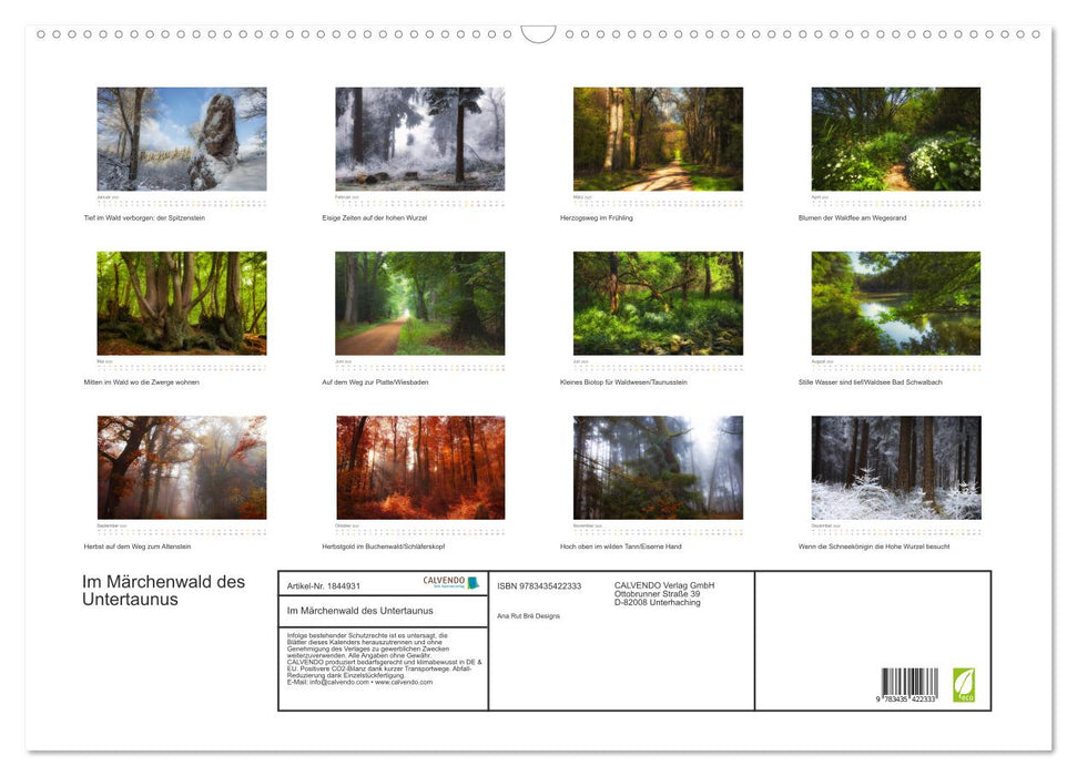 Im Märchenwald des Untertaunus (CALVENDO Wandkalender 2025)