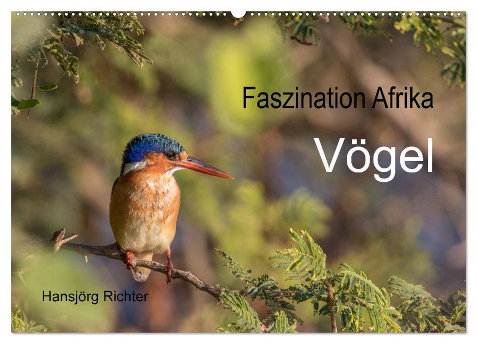 Faszination Afrika - Vögel (CALVENDO Wandkalender 2025)