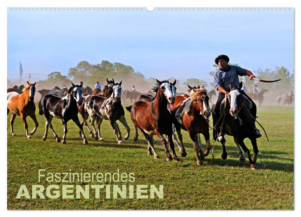 Faszinierendes Argentinien (CALVENDO Wandkalender 2025)