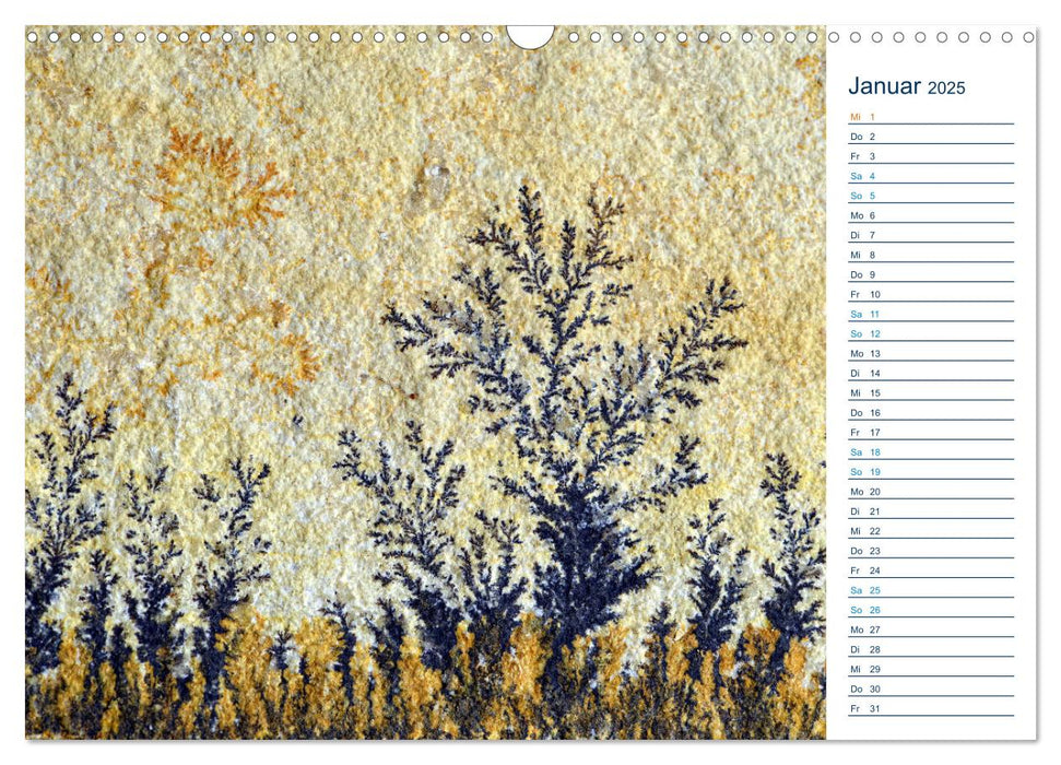 Märchenwelten aus Stein - Manganoxid-Dendriten aus Solnhofen (CALVENDO Wandkalender 2025)